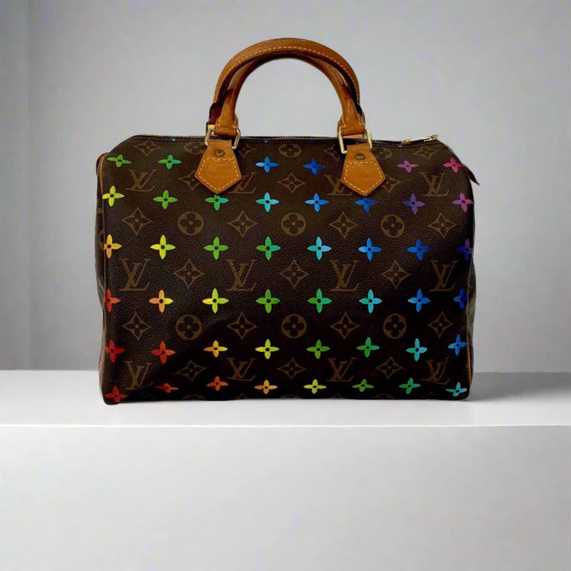Bag Of The Week: Hand Painted Louis Vuitton Speedy 30