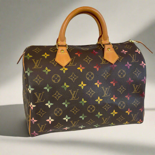 Hand painted Louis Vuitton Bag