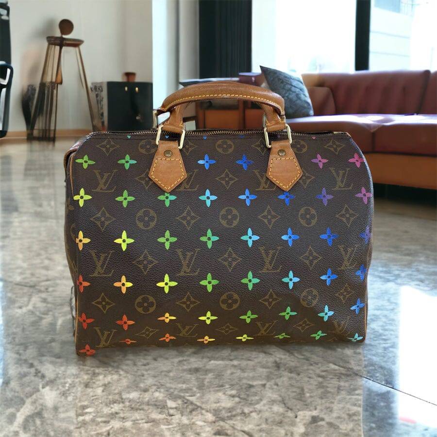 Hand painted Louis Vuitton Bag