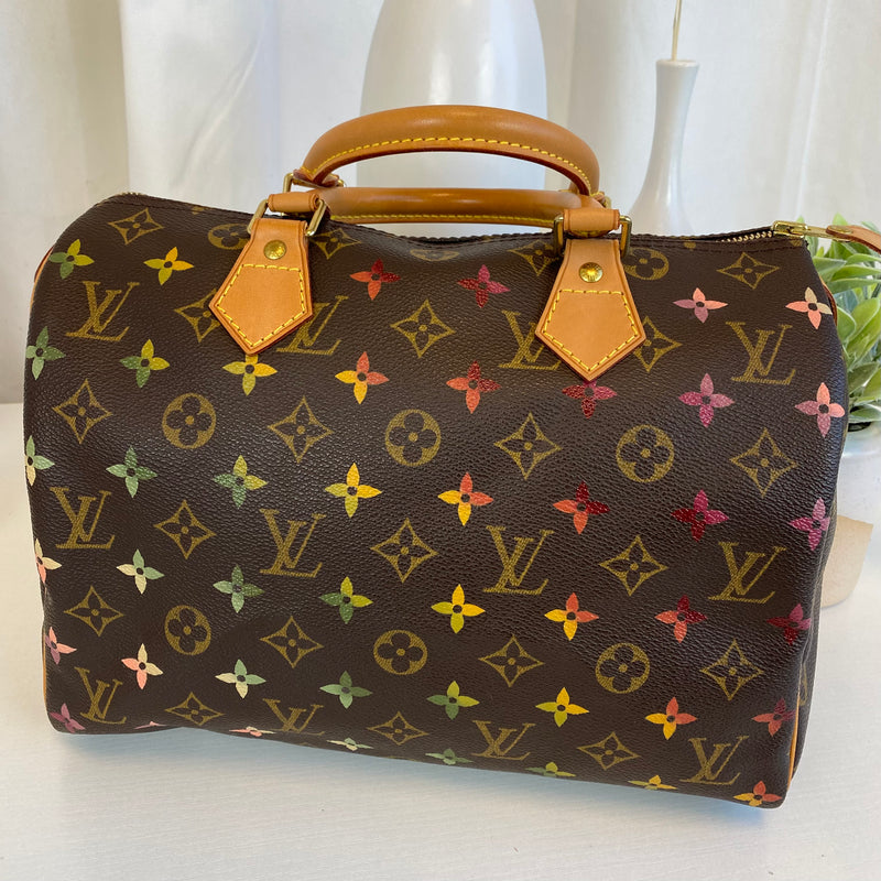Louis Vuitton Monogram Hand Painted Speedy Bag 30 Brown